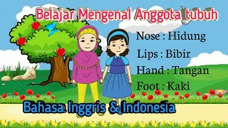 Belajar mengenal nama anggota tubuh bahasa inggris  Learn Part of body  bersama Firyal amp Nayla [upl. by Heddie]