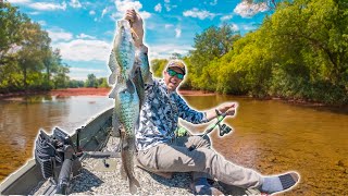 Crappie Fishing Shallow Creeks with Jigs [upl. by Enetsuj]