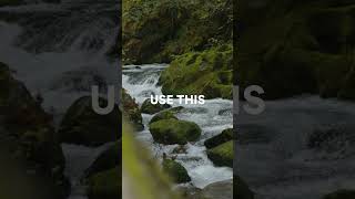 Great royaltyfree music Without the noise 🙌 [upl. by Nibla375]