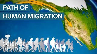 Map Shows How Humans Migrated Across The Globe [upl. by Novaelc]