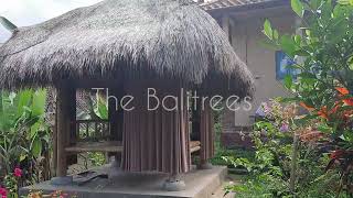 Welcome To Balitrees Retreats  The Balitrees [upl. by Lecia]