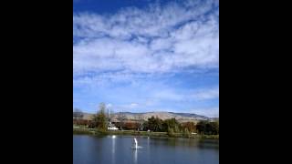 Sturgeon park center pond boise [upl. by Dorthea]