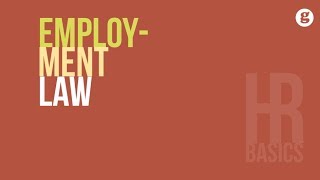 HR Basics Employment Law [upl. by Marion735]