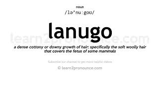 Pronunciation of Lanugo  Definition of Lanugo [upl. by Care930]