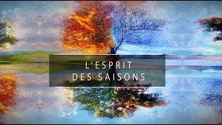 Cocréez votre transformation personnelle avec les Saisons [upl. by Oelgnaed]