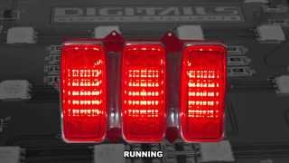 1969 Ford Mustang DIGI TAILS LED Taillight Panels in stock housing [upl. by Alyos]