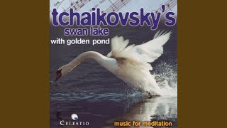 Hungarian Dance  Ungarischer Tanz  Schwanensee PI Tchaikovsky  Ballet Suite From Swan [upl. by Heddy]