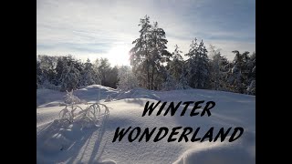 Winter wonderland [upl. by Lia]