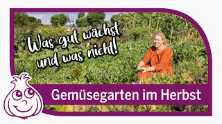 Gemüsegarten im Oktober  Gartenrundgang amp neues vom Acker [upl. by Whitman601]