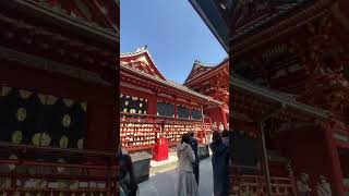 Tsurugaoka Hachimangu 鶴岡八幡宮 Tsurugaoka Hachimangū is Kamakuras most important shrine in Japan [upl. by Emelda]