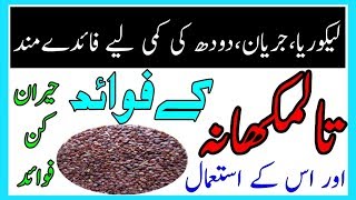 Health Benefits Of Talmakhana  Talmakhan ke fawaid mizaj ur us ke istemal [upl. by Eugaet]