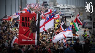 Thousands march in protest of the Treaty Principles Bill [upl. by Eceerehs359]