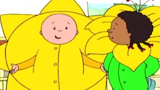 Ruca em português  Ruca e o Grande Desempenho  Caillou Episódio Completo  Nova Temporada [upl. by Nialb]