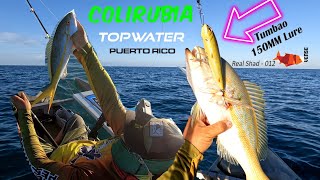 Pescando Colirubias con topwater  tumbao 150mm [upl. by Lorn]