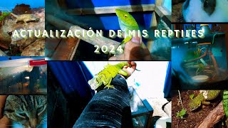 Actualización de Mis Reptiles I 2024 [upl. by Linsk]