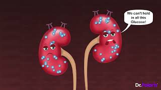 Pharmacology  Oral Hypoglycemic Drugs Animated  MBBS 2nd Year [upl. by Sudnak]