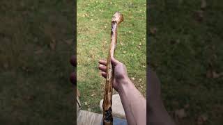 Spiked Shillelagh American Ash wood handmade shillelagh [upl. by Roderica207]