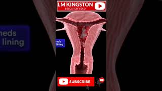 cervix open cervix dilation cervix lmkingston [upl. by Toffic686]