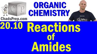 2010 Synthesis and Reactions of Amides  Organic Chemistry [upl. by Knudson]