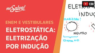 Me Salva ELT08  Eletrostática  Eletrização por Indução [upl. by Pool]