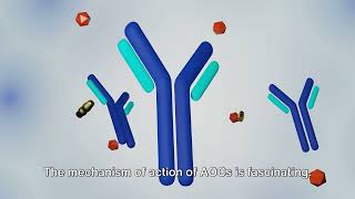 Unraveling the Power of AntibodyOligonucleotide Conjugates [upl. by Ube]