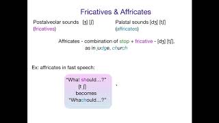 AcqOfLang1 Affricates [upl. by Monty]