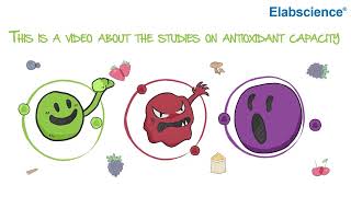 Studies On Antioxidant Capacity [upl. by Cointon247]