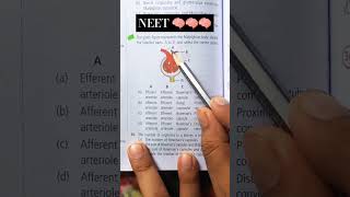 Diagram of Malpighian body and give this answer youtubeshort neet neetncertbiology [upl. by Lemar]