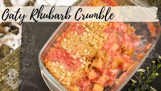 Scottish Rhubarb Crumble Traditional Recipe from Scotland made with Oats [upl. by Liederman492]