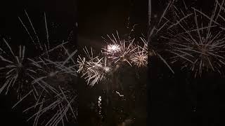 Fireworks 2024 fireworks fireworkshorts [upl. by Yemaj]