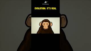 Evolution Sorry folks its real [upl. by Darcey128]