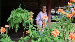 Vamos a visitar a mi abuela y su jardín  Candy Bu [upl. by Dinsdale]