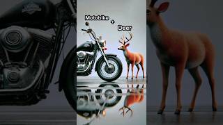 Motorbikedeer 🦌🛵ai comedy howtomakegolgappa coversong animal funny shorts [upl. by Delwyn]