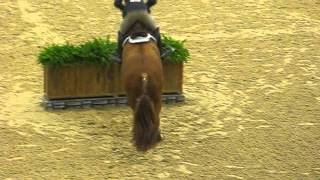 Jacob Pope 2012 Maclay Finals Test riding Patrick [upl. by Francois]