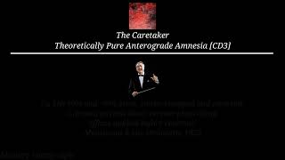 The Caretaker  Theoretically Pure Anterogade Amnesia CD 3 Sample guide [upl. by Isayg]