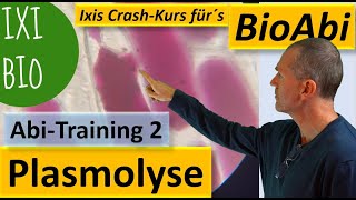 Plasmolyse und Deplasmolyse im Experiment  Training 2 Abitur Biologie  Praktischer Teil [upl. by Chien564]