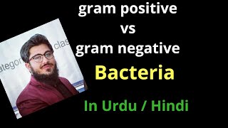 gram positive vs gram negative bacteria comparison  in Urdu hinidi [upl. by Rammaj]