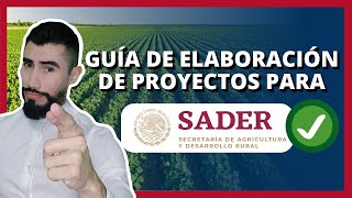 Guía de elaboración de proyectos para SADER  Apoyos de Gobierno [upl. by Annaeiluj307]