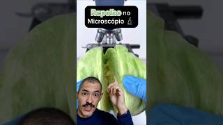 Repolho no Microscópio  Você gosta desse vegetal [upl. by Feliza325]