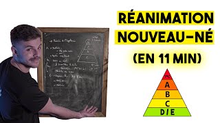 Réanimation du nouveauné lalgorithme [upl. by Sandor]