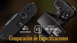 Leica M11 Monochrome vs Sony A3000 Una Comparación de Especificaciones [upl. by Nalid]