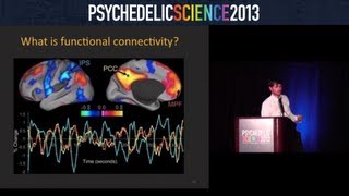 Brain Imaging Studies with Psilocybin and MDMA  Robin CarhartHarris [upl. by Mellman835]