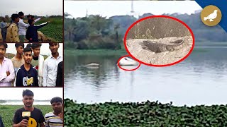 Hyderabad Crocodile spotted in Mir Alam Tank  Residents complain of snakes around lake [upl. by Marelya]