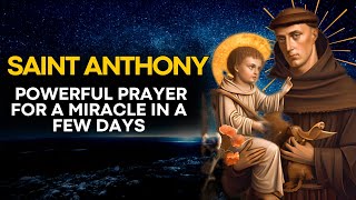 🛑 ST ANTHONY  POWERFUL PRAYER FOR A MIRACLE IN A FEW DAYS [upl. by Shaun]