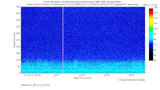 Possible Sei Whale Vocalizations [upl. by Shellie]