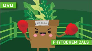 Phytochemicals Explained in Under 2 Minutes [upl. by Rovert]