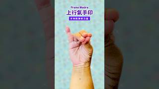 手印的神奇力量《上升氣手印 Udana Mudra》提升上行氣 穩定內在情緒 活化空元素 花覺醒 手印 mudra 健康 花手印 手印大全 瑜珈手印 [upl. by Sonstrom253]