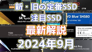 NVMe SSD 新旧の定番・注目モデルの最新状況まとめ解説。オススメもわかる！ 2024年9月 [upl. by Norrad]