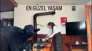 KÖYDE YAŞAMEV TADİLATIKAHVALTI [upl. by Parke]