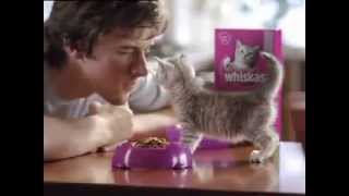 WHISKAS®  Moeder TV Reclame [upl. by Horatia]